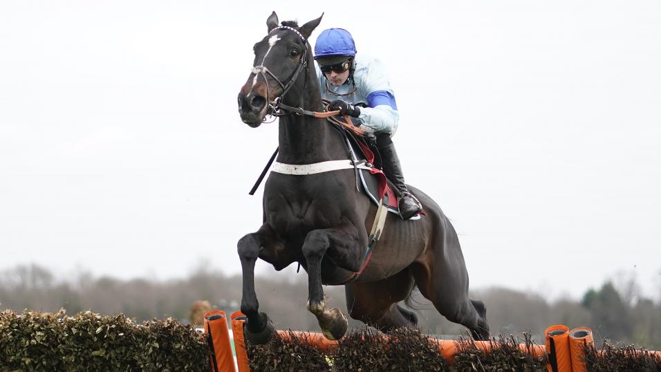 Precious Cargo Aintree